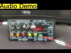 एम्पलीफायर बोर्ड D10-II 4 ओम 40W स्पीकर 110V 220V 12V 24V सबवूफर ऑडियो मॉड्यूल के लिए