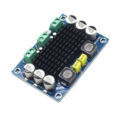 CA-3116D मूल 100W मोनो ऑडियो एम्पलीफायर बोर्ड TPA3116D2 चिप और 12-24V इनपुट के साथ