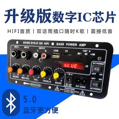 एम्पलीफायर बोर्ड D10-II 4 ओम 40W स्पीकर 110V 220V 12V 24V सबवूफर ऑडियो मॉड्यूल के लिए