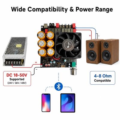 600W+600W डुअल TPA3255 एम्पलीफायर बोर्ड फैन कूलिंग क्लास डी स्टीरियो एम्पलीफायर बोर्ड DC18-50V